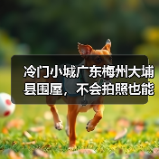 冷门小城广东梅州大埔县围屋,不会拍照也能出片(图3) 冷门小城广东梅州大埔县围屋,不会拍照也能出片(图3)