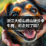浙江大明山后山徒步牵牛岗，你走对了吗？（图2）