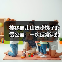 桂林猫儿山徒步梯子岭雷公岩:一次反常识的户外观察(图1) 桂林猫儿山徒步梯子岭雷公岩:一次反常识的户外观察(图1)