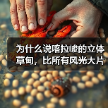 为什么说喀拉峻的立体草甸,比所有风光大片都高级?(图3) 为什么说喀拉峻的立体草甸,比所有风光大片都高级?(图3)
