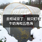 去稻城亚丁,别只盯着牛奶海和五色海(图1) 去稻城亚丁,别只盯着牛奶海和五色海(图1)