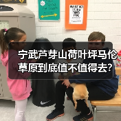 宁武芦芽山荷叶坪马伦草原到底值不值得去?(图1) 宁武芦芽山荷叶坪马伦草原到底值不值得去?(图1)