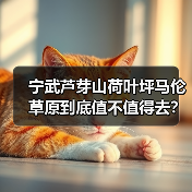 宁武芦芽山荷叶坪马伦草原到底值不值得去?(图3) 宁武芦芽山荷叶坪马伦草原到底值不值得去?(图3)