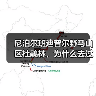 尼泊尔班迪普尔野马山区杜鹃林,为什么去过的人都沉默?(图2) 尼泊尔班迪普尔野马山区杜鹃林,为什么去过的人都沉默?(图2)