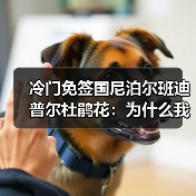 冷门免签国尼泊尔班迪普尔杜鹃花:为什么我不劝你去博卡拉?(图3) 冷门免签国尼泊尔班迪普尔杜鹃花:为什么我不劝你去博卡拉?(图3)
