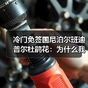 冷门免签国尼泊尔班迪普尔杜鹃花:为什么我不劝你去博卡拉?(图4) 冷门免签国尼泊尔班迪普尔杜鹃花:为什么我不劝你去博卡拉?(图4)