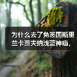 为什么去了免签国斯里兰卡贾夫纳浅蓝神庙，我反而更迷茫了？