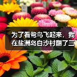 为了看鹭鸟飞起来,我在盐洲岛白沙村翻了三次车(图3) 为了看鹭鸟飞起来,我在盐洲岛白沙村翻了三次车(图3)