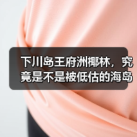 下川岛王府洲椰林,究竟是不是被低估的海岛秘境?(图4) 下川岛王府洲椰林,究竟是不是被低估的海岛秘境?(图4)