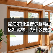 尼泊尔班迪普尔野马山区杜鹃林,为什么去过的人都沉默?(图4) 尼泊尔班迪普尔野马山区杜鹃林,为什么去过的人都沉默?(图4)