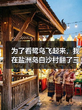 为了看鹭鸟飞起来,我在盐洲岛白沙村翻了三次车(图2) 为了看鹭鸟飞起来,我在盐洲岛白沙村翻了三次车(图2)