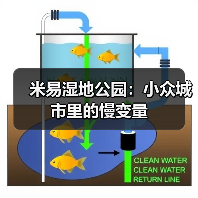 米易湿地公园：小众城市里的慢变量（图3）