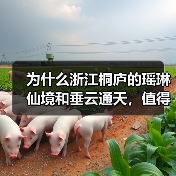 为什么浙江桐庐的瑶琳仙境和垂云通天,值得你专程跑一趟?(图2) 为什么浙江桐庐的瑶琳仙境和垂云通天,值得你专程跑一趟?(图2)