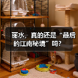 丽水，真的还是“最后的江南秘境”吗？（图2）