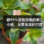 被99%游客忽略的浙江小城,龙泉宝溪的竹建筑有多绝?(图3) 被99%游客忽略的浙江小城,龙泉宝溪的竹建筑有多绝?(图3)