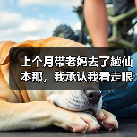 上个月带老妈去了趟仙本那,我承认我看走眼了(图1) 上个月带老妈去了趟仙本那,我承认我看走眼了(图1)