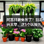 阿塞拜疆免签了？别高兴太早，这5个坑我先踩为敬