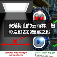 安第斯山的云雨林,摄影爱好者的宝藏之地(图3) 安第斯山的云雨林,摄影爱好者的宝藏之地(图3)