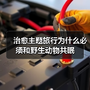 治愈主题旅行为什么必须和野生动物共眠(图2) 治愈主题旅行为什么必须和野生动物共眠(图2)