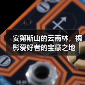 安第斯山的云雨林,摄影爱好者的宝藏之地(图2) 安第斯山的云雨林,摄影爱好者的宝藏之地(图2)