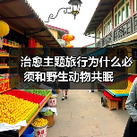 治愈主题旅行为什么必须和野生动物共眠