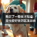 我花了一整夜才知道:昆虫爱好者郊区溪谷夜观寻虫到底有多上头(图1) 我花了一整夜才知道:昆虫爱好者郊区溪谷夜观寻虫到底有多上头(图1)