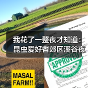 我花了一整夜才知道:昆虫爱好者郊区溪谷夜观寻虫到底有多上头(图3) 我花了一整夜才知道:昆虫爱好者郊区溪谷夜观寻虫到底有多上头(图3)