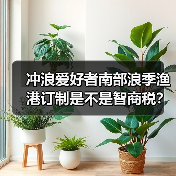 冲浪爱好者南部浪季渔港订制是不是智商税?(图4) 冲浪爱好者南部浪季渔港订制是不是智商税?(图4)