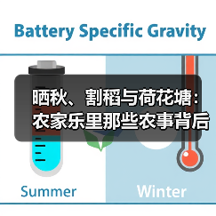 晒秋、割稻与荷花塘：农家乐里那些农事背后的道理