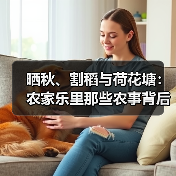 晒秋、割稻与荷花塘:农家乐里那些农事背后的道理(图3) 晒秋、割稻与荷花塘:农家乐里那些农事背后的道理(图3)