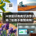冲浪爱好者南部浪季渔港订制是不是智商税?(图3) 冲浪爱好者南部浪季渔港订制是不是智商税?(图3)