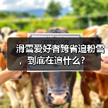 滑雪爱好者跨省追粉雪,到底在追什么?(图4) 滑雪爱好者跨省追粉雪,到底在追什么?(图4)