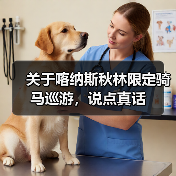 关于喀纳斯秋林限定骑马巡游,说点真话(图4) 关于喀纳斯秋林限定骑马巡游,说点真话(图4)