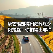 秋芒限定杭州湾滩涂夕阳拉丝：你拍得出那种味道吗？（图3）
