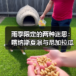 雨季限定的两种迷思:喀纳斯夏瀑与尼加拉瓜的船(图4) 雨季限定的两种迷思:喀纳斯夏瀑与尼加拉瓜的船(图4)