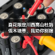 夏花限定川西高山杜鹃俄木塘草,我劝你别瞎跟风(图2) 夏花限定川西高山杜鹃俄木塘草,我劝你别瞎跟风(图2)