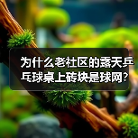 为什么老社区的露天乒乓球桌上砖块是球网?(图2) 为什么老社区的露天乒乓球桌上砖块是球网?(图2)