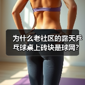 为什么老社区的露天乒乓球桌上砖块是球网?(图3) 为什么老社区的露天乒乓球桌上砖块是球网?(图3)