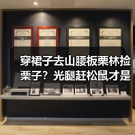 穿裙子去山腰板栗林捡栗子?光腿赶松鼠才是真蠢(图2) 穿裙子去山腰板栗林捡栗子?光腿赶松鼠才是真蠢(图2)