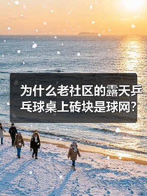为什么老社区的露天乒乓球桌上砖块是球网？