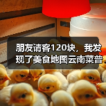 朋友请客120块,我发现了美食地图云南菜普洱茶叶红烧肉苞的真相(图3) 朋友请客120块,我发现了美食地图云南菜普洱茶叶红烧肉苞的真相(图3)