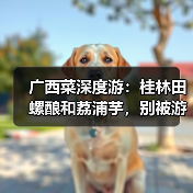 广西菜深度游:桂林田螺酿和荔浦芋,别被游客店骗了(图1) 广西菜深度游:桂林田螺酿和荔浦芋,别被游客店骗了(图1)