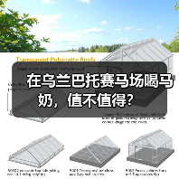 在乌兰巴托赛马场喝马奶,值不值得?(图1) 在乌兰巴托赛马场喝马奶,值不值得?(图1)