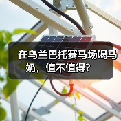 在乌兰巴托赛马场喝马奶,值不值得?(图4) 在乌兰巴托赛马场喝马奶,值不值得?(图4)