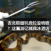 去北极圈玩鹿拉雪橇板?这篇游记瑞典冰酒店攻略能救你命(图4) 去北极圈玩鹿拉雪橇板?这篇游记瑞典冰酒店攻略能救你命(图4)