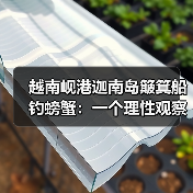 越南岘港迦南岛簸箕船钓螃蟹:一个理性观察者的笔记(图1) 越南岘港迦南岛簸箕船钓螃蟹:一个理性观察者的笔记(图1)