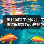 花1200买了个教训:同游结伴旅友Tour匹配饭搭摄影搭指南(图3) 花1200买了个教训:同游结伴旅友Tour匹配饭搭摄影搭指南(图3)