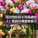 同游结伴找不到靠谱的人?我教你用墨鱼旅行怎么拼团(图1) 同游结伴找不到靠谱的人?我教你用墨鱼旅行怎么拼团(图1)