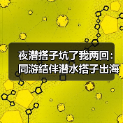 夜潜搭子坑了我两回:同游结伴潜水搭子出海组队夜潜捕的正确玩法(图4) 夜潜搭子坑了我两回:同游结伴潜水搭子出海组队夜潜捕的正确玩法(图4)