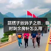 旅搭子放鸽子之后,临时剩余房补怎么用(图2) 旅搭子放鸽子之后,临时剩余房补怎么用(图2)